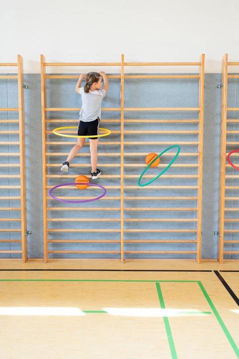 Image du produit Spordas Porte-pneus pour espaliers WalliBari