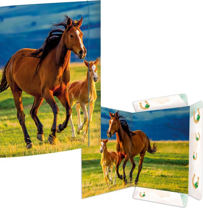 Immagine prodotto Rnk Editore Valigetta da disegno DIN A3 Cavalli (A3, 1x)