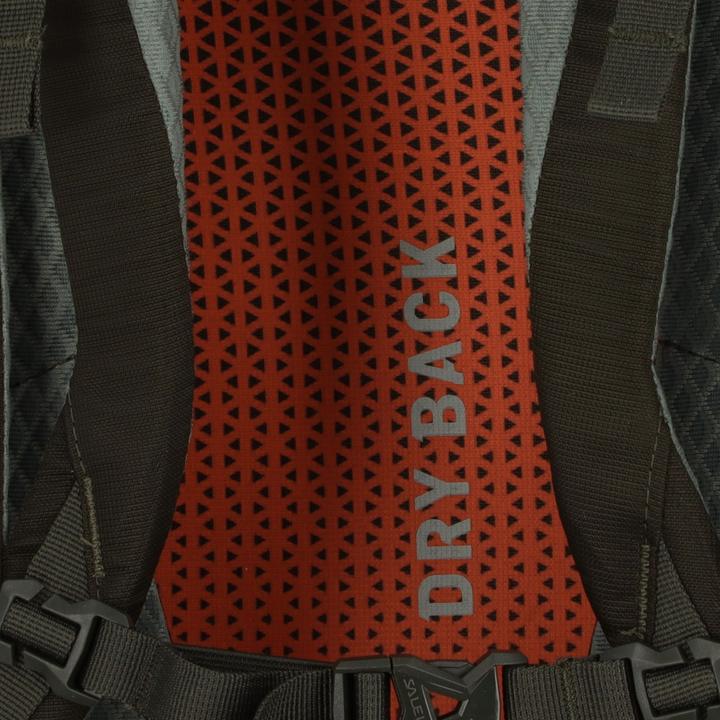 Actual product image Salewa Alp Trainer +L backpack (35 l)