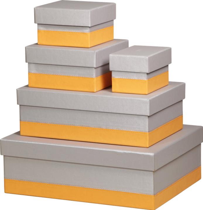 Image du produit Rhodia Home office Rhodiarama (5x)