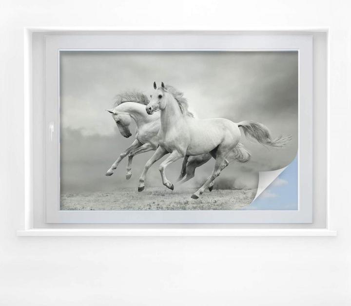 Produktbild Trenddeko Pferde im Galopp (45 x 30 cm)