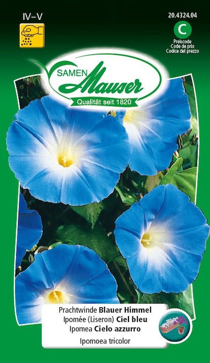 Produktbild Samen Mauser Prunkwinde Blauer Himmel (Pflanzensamen)