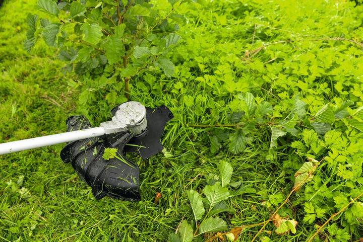 Produktbild Bosch Professional Klinge 4T Brushcutter LH Thread (Rasentrimmer)