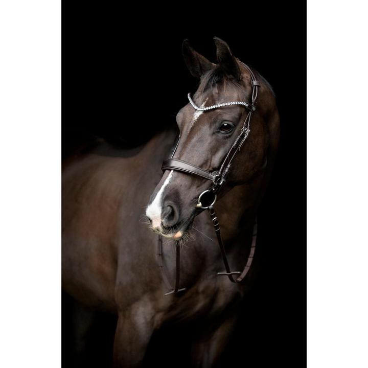 Produktbild Catago Gentle