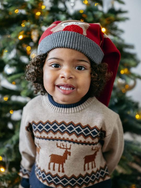 Produktbild Hust and Claire Pullover HCPelle mit Rentier (110)