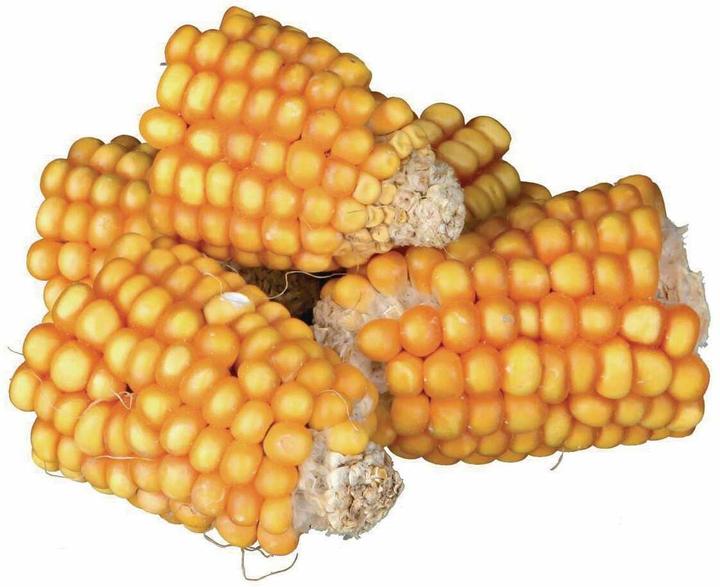 Trixie Maiskolbenstücke (1 Stk., 0.30 kg)