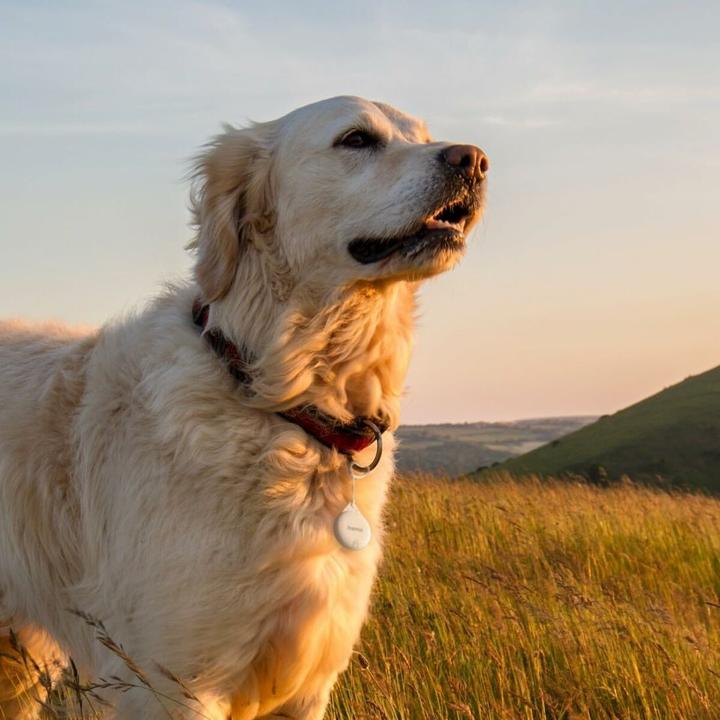 Actual product image Hama Where is (iOS)