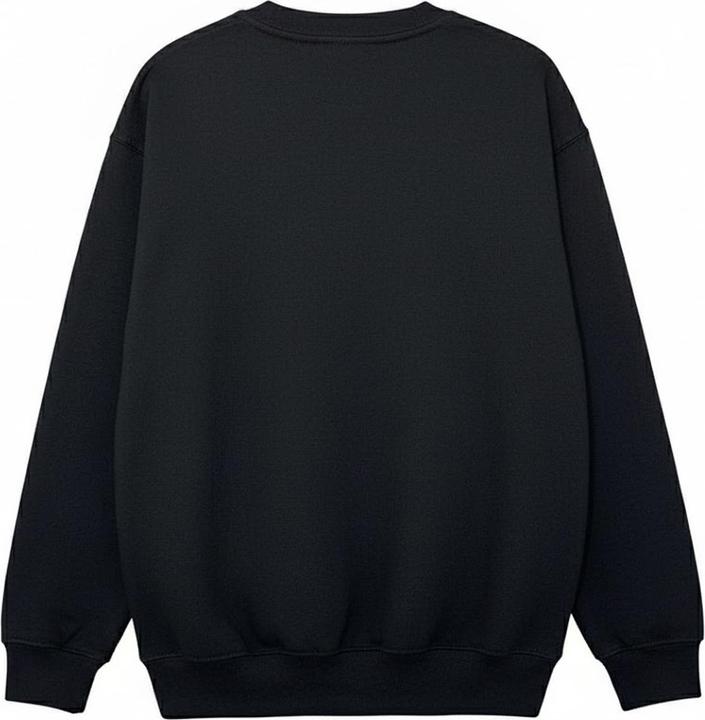 Produktbild Blue Beetle Jaime Reyes Sweatshirt (M)