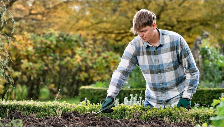 Image du produit Bosch Professional Cultivateur de jardin