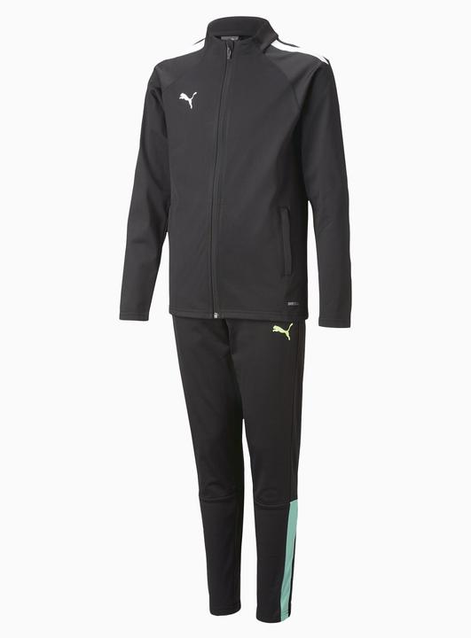 Actual product image Puma teamLIGA Tracksuit Jr (152)