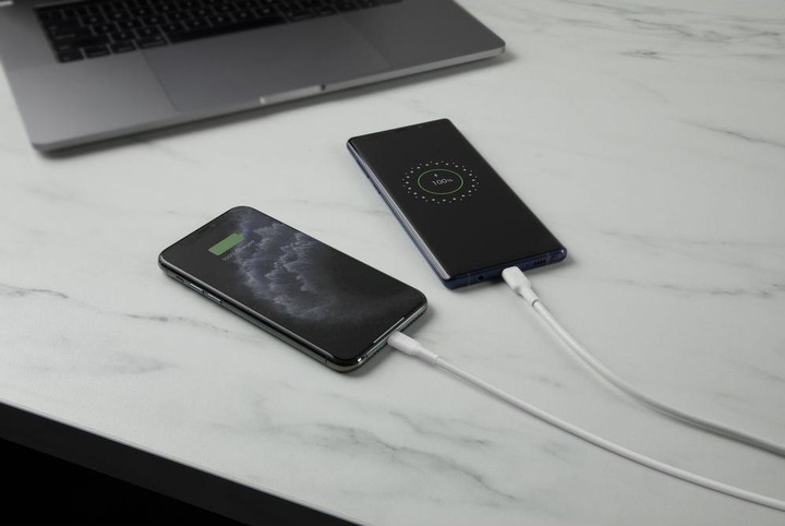 Immagine prodotto Belkin Boost Charge (12 W)