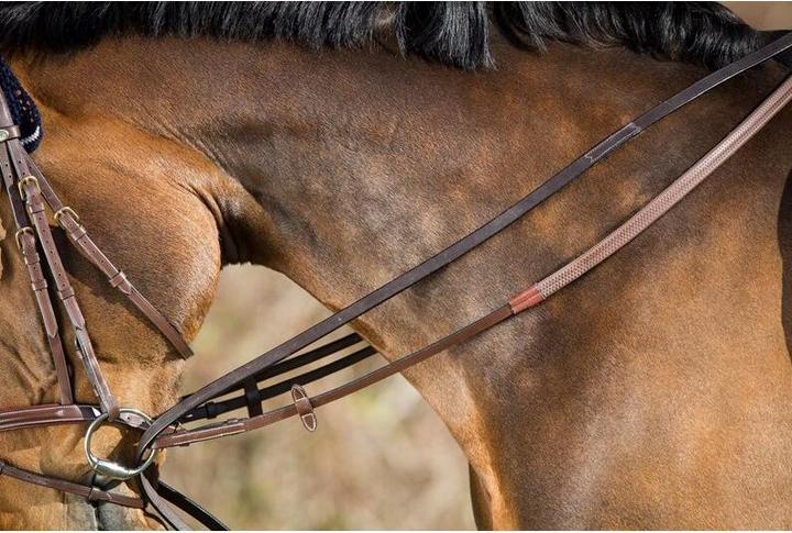 Produktbild HFI Master Zügel