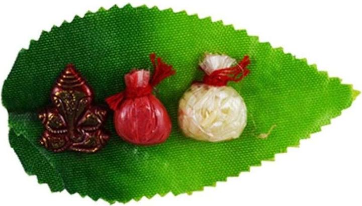 Immagine prodotto Frudia Uva verde (Scrub detergente)