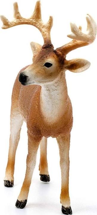 Image du produit Schleich Cerf de Virginie