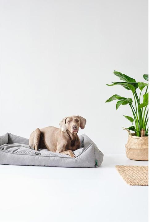 Actual product image Hunter Eiby (Dog)