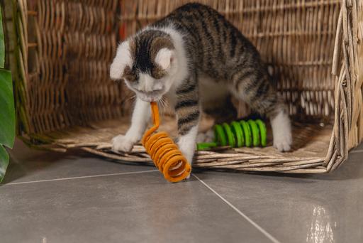 Actual product image Beeztees Springfeder Lilo (Plush toy cat)