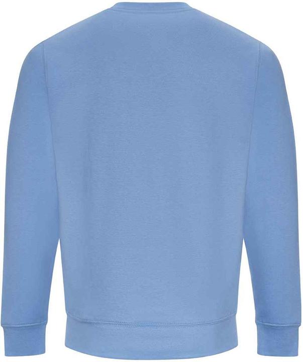 Immagine prodotto Awdis Felpa Adulto Unisex (S)