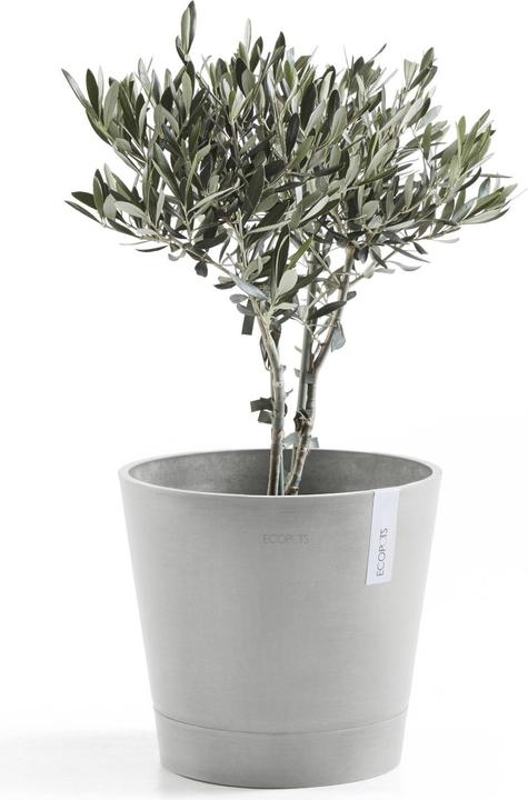 Produktbild Ecopots Venice (40 x 35 cm)