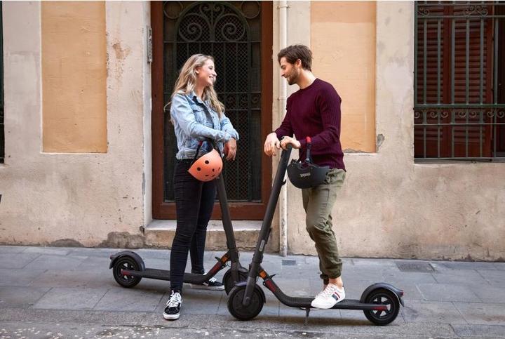 Immagine prodotto Segway-Ninebot Kick Scooter E22E (20 km/h, 22 km, 300 W)