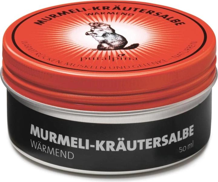 Puralpina Murmeli Kruidenzalf (1 x, 50 ml, 60 g)