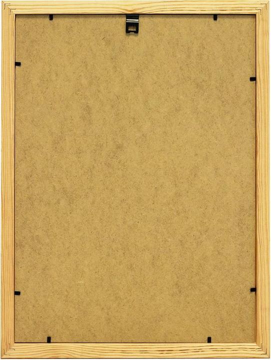 Image du produit Debex Cadre interchangeable (30 x 42 cm)