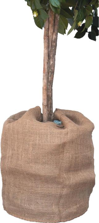 Colibri Jutesack