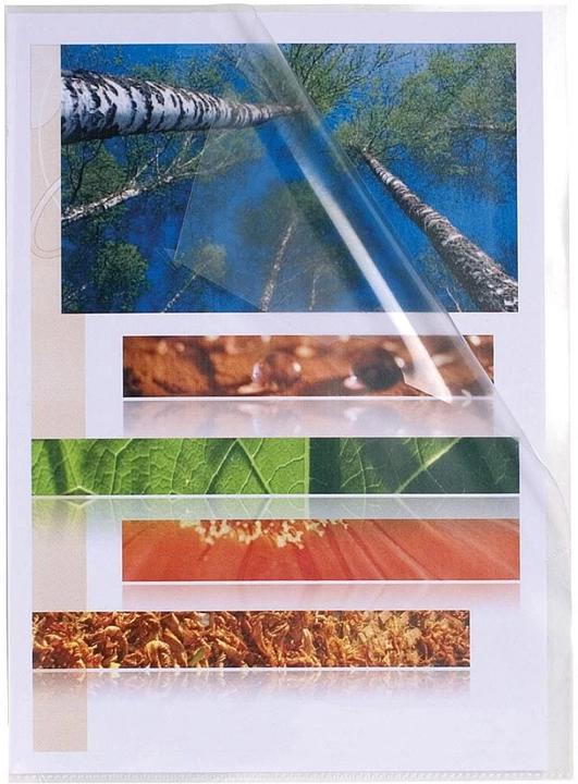 Image du produit Exacompta Pochette transparente Advanced A4, 10 pièces, Transparent (A4, 10x)