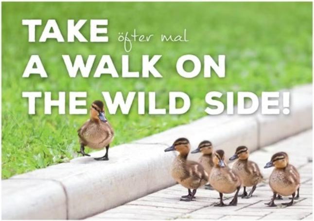 Anderskartig Postkarte Modern Times Take a Walk on the Wild Side