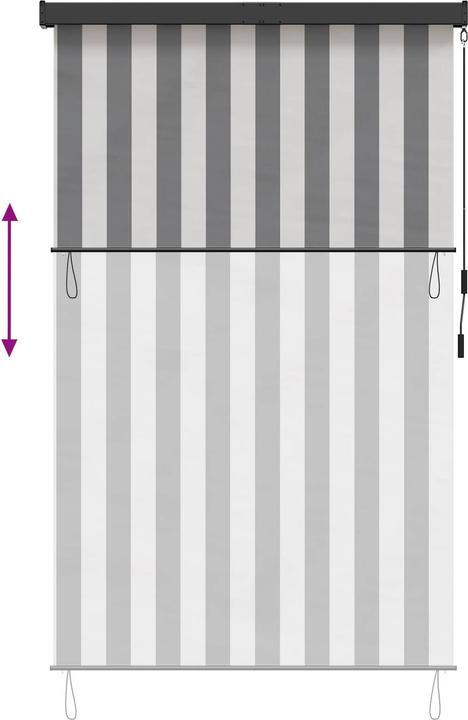 Produktbild vidaXL Outdoor Rollo (100 x 250 cm)