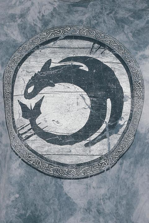 Produktbild Dragons - Shield (XXL)