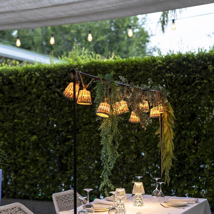 Actual product image Newgarden Aurora (5 m)