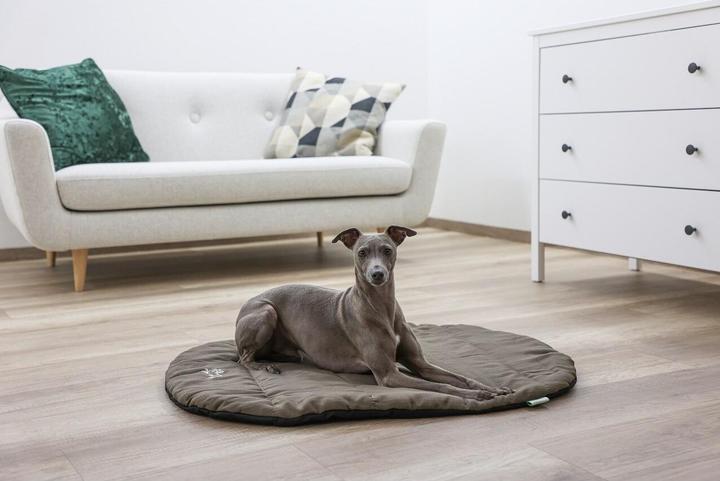 Produktbild Kerbl Traveller Reisekissen (Hund)