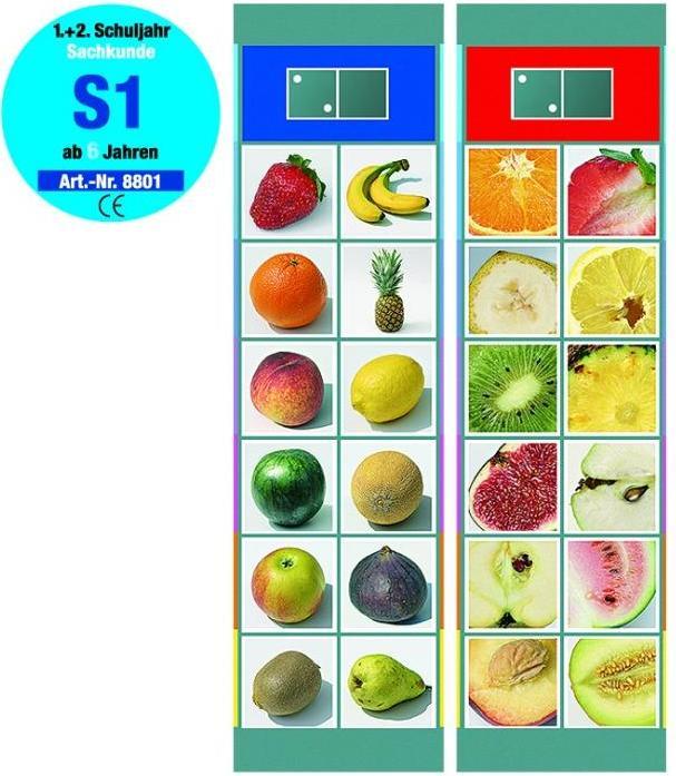 Actual product image Oberschwäbische Magnetspiele 68801 - Set S 1: Expert knowledge plants - Flocards, figure game, for 1 player, from 6 years (German)