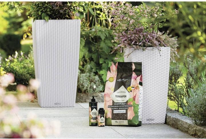 Immagine prodotto Lechuza Cubico Cottage (29.50 cm)