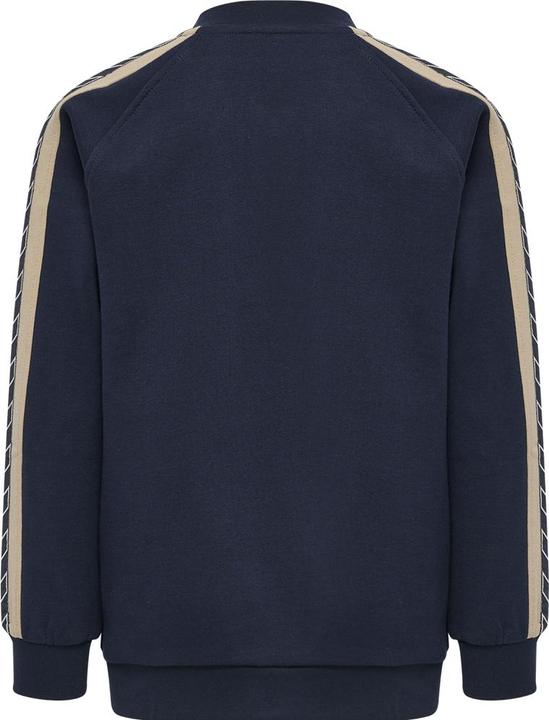 Actual product image hummel Agnar Zip Jacket (104)