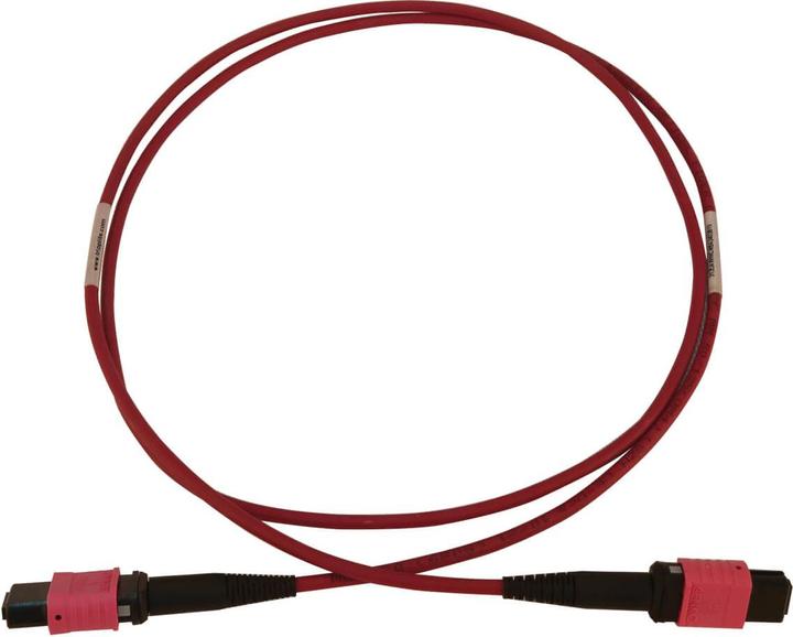 Actual product image Eaton 100G Multimode 50/125 OM4 Fibre Optic Cable 12F MTP/MPO-PC F/F LSZH Magenta 1m 3.3ft (1 m)