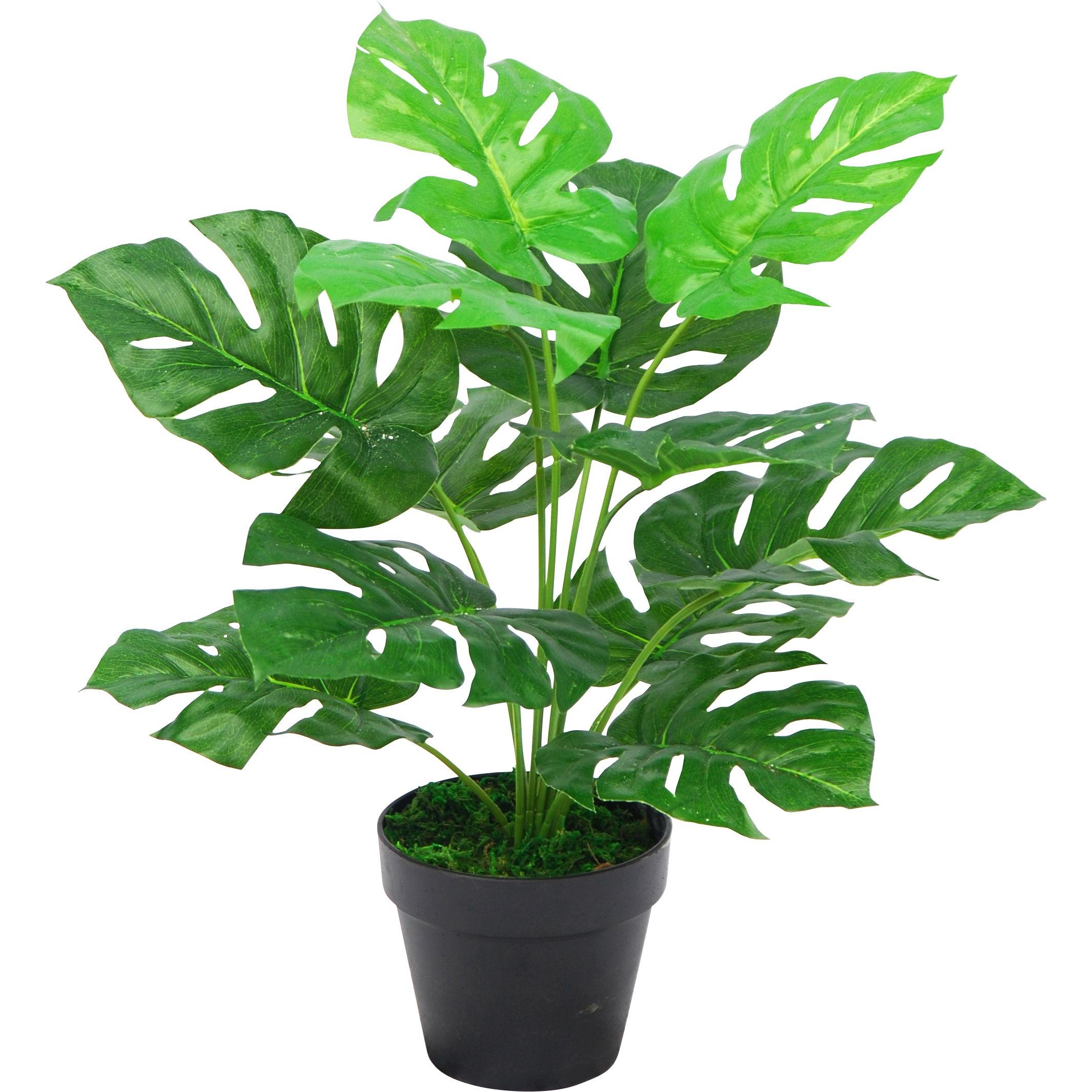 Paperflow MONSTERA Kunstpalme 45,0 cm (45 cm) (PAMON45)