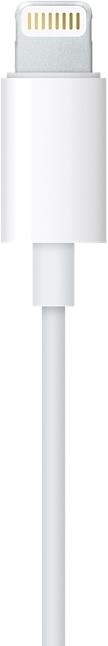 Actual product image Apple EarPods (No noise cancelling, Cable)