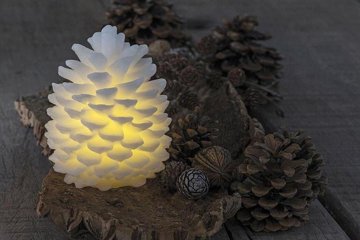 Actual product image Sirius Fir cones