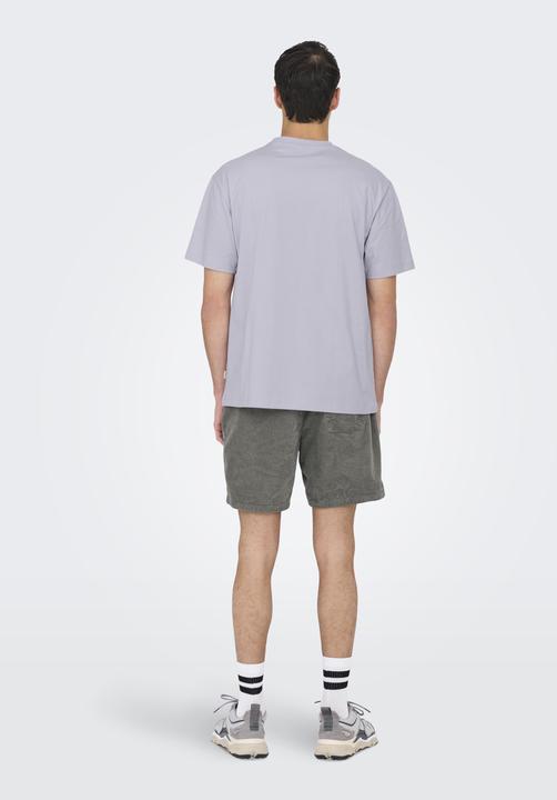 Immagine prodotto Only & Sons Onsfred Life Rlx Ss Tee Noos (S)