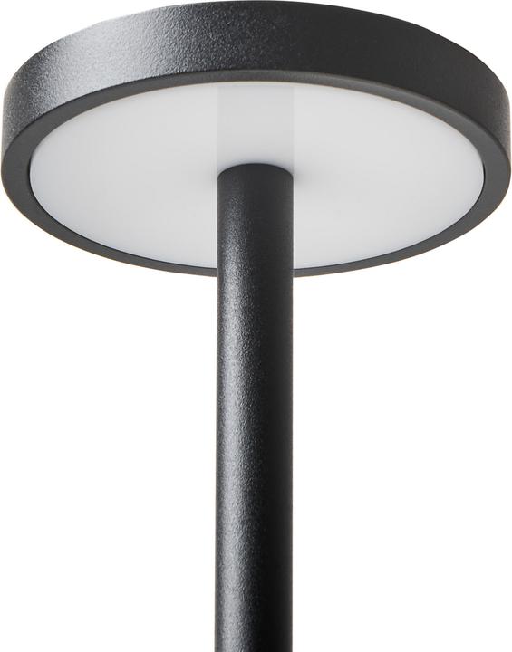 Image du produit Beliani Lizandro (150 lm)