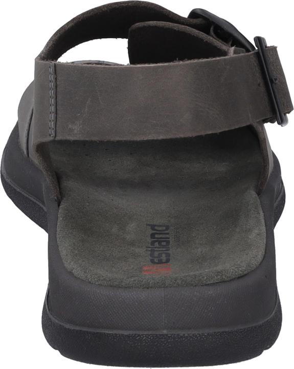 Actual product image Westland 45805-348 (42)