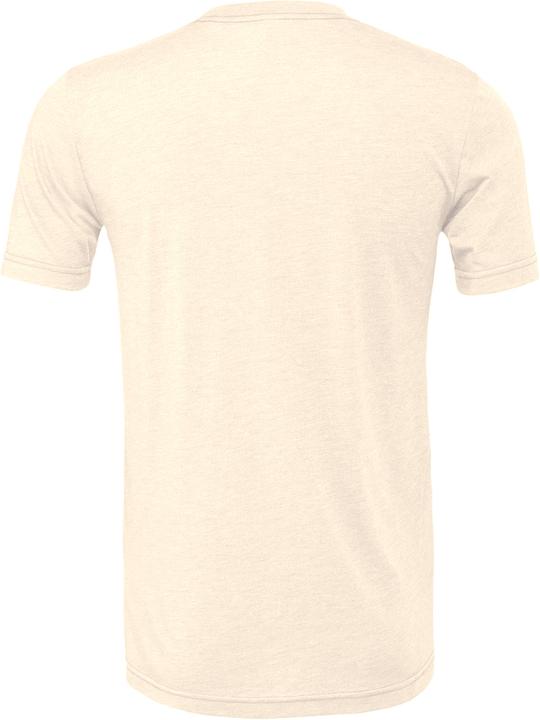 Produktbild Bella Canvas CVC TShirt Erwachsene (L)