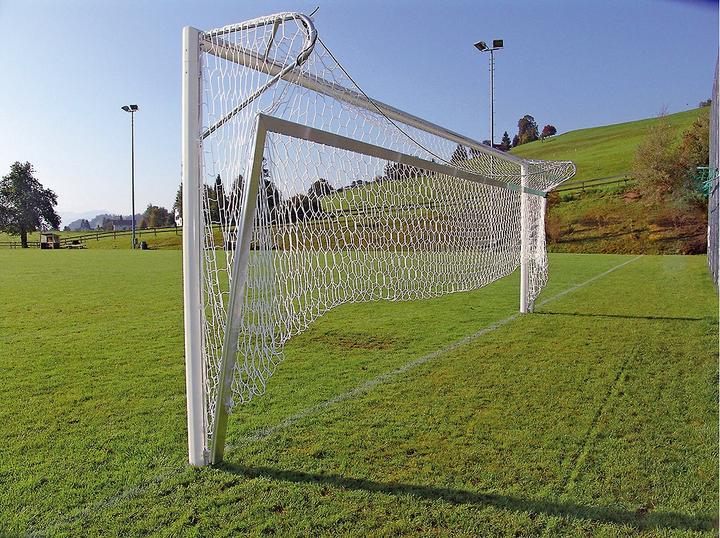 Actual product image Sport-Thieme Fold up aluminum ground frame model Bundesliga, for large field goals 7,32x2,44 m