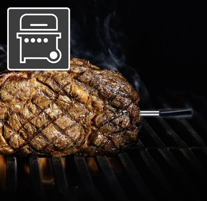 Actual product image Laserliner ThermoControl Air