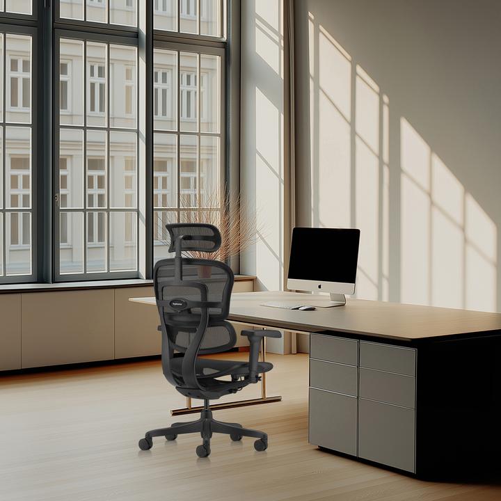 Actual product image Hjh Office Ergohuman Signature Gen2
