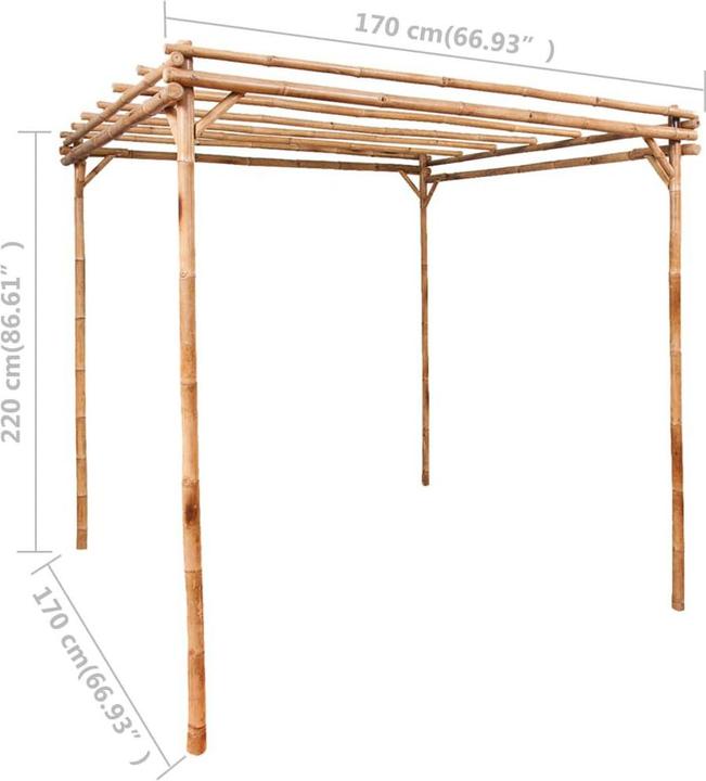 Image du produit vidaXL Pergola (170 cm, 170 cm)