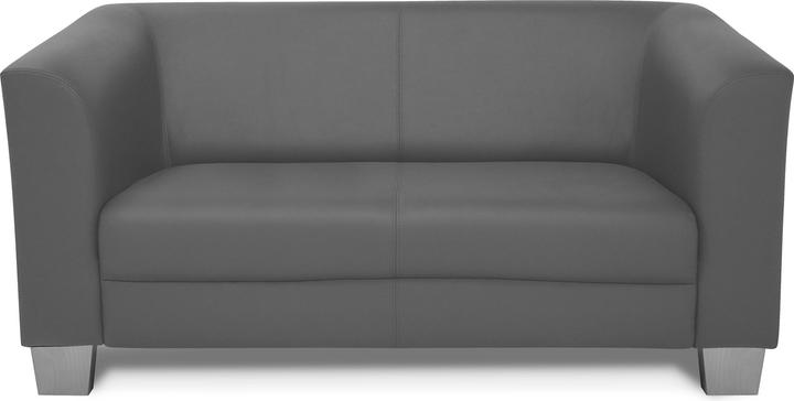 Actual product image Möbel-Eins Chicago (2 person sofa)