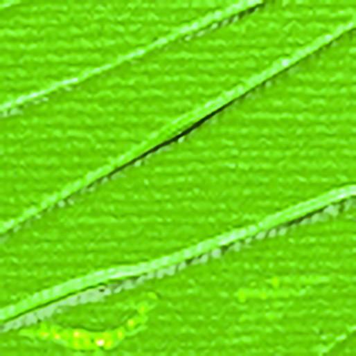 Produktbild Pebeo Studio Acrylics feine Acrylfarben (Chromoxydgrün Imit, 250 ml)