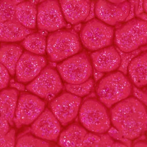 Image du produit Pebeo Fantasy Prisme (Rouge anglais, 45 ml)
